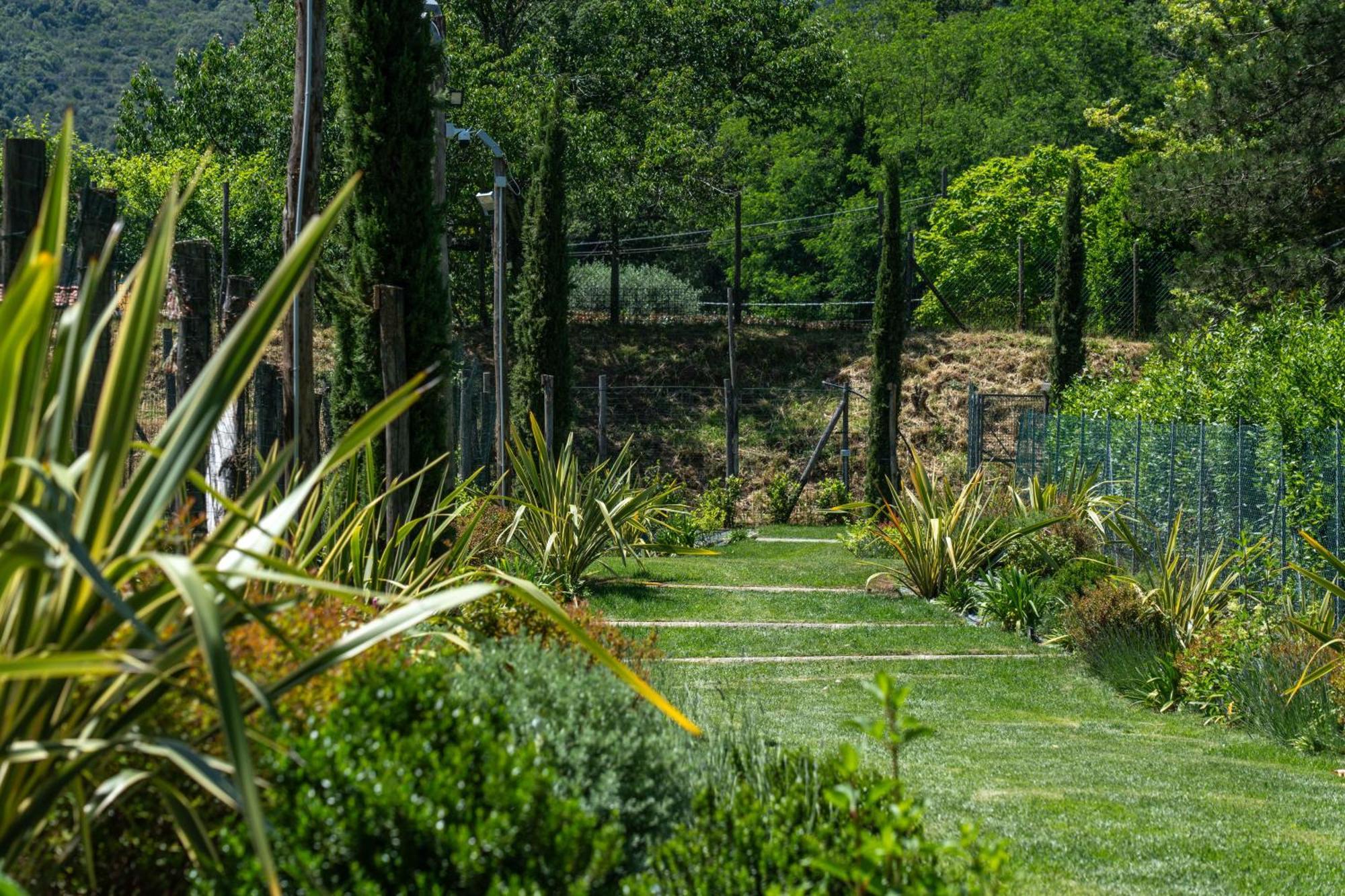 Villa Vittoria - Lusso Con Piscina, Tennis, Jacuzzi E Palestra Lucques Extérieur photo